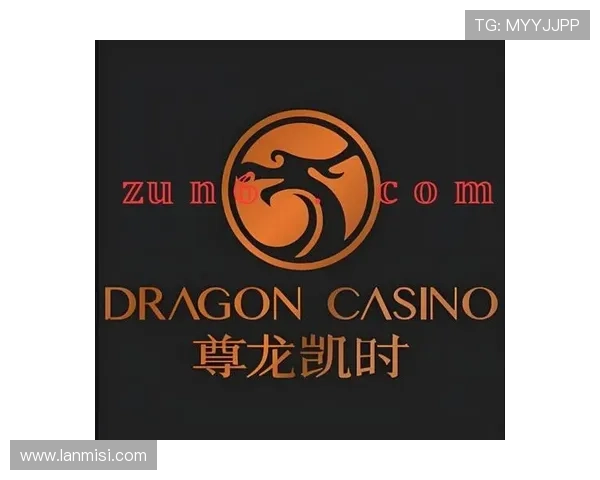 深入解析尊龙凯时官网网页版的奖金机制与返水政策